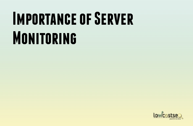 Importance of Server Monitoring