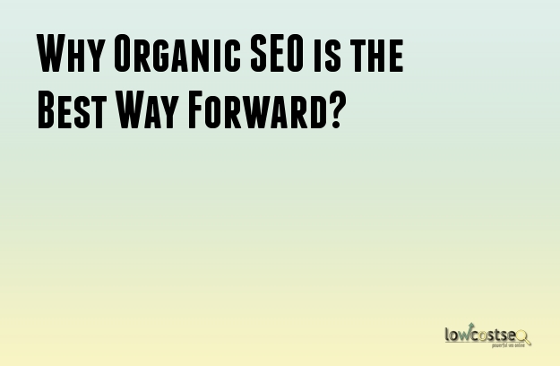 Why Organic SEO is the Best Way Forward?