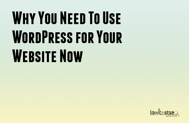 Why You Need To Use WordPress for Your Website Now