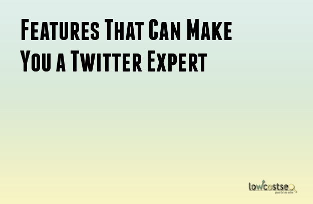 Features That Can Make You a Twitter Expert