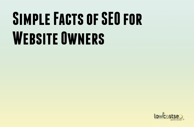 Simple Facts of SEO for Website Owners