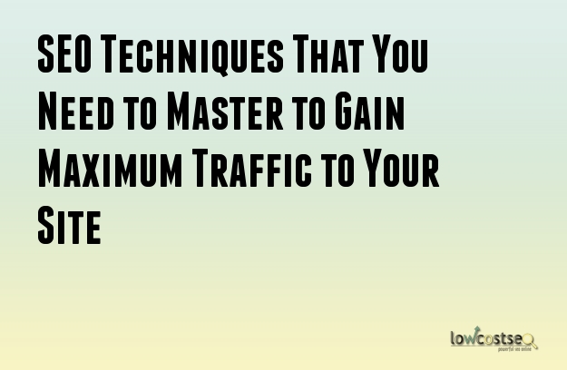 SEO Techniques That You Need to Master to Gain Maximum Traffic to Your Site