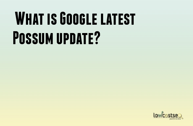  What is Google latest Possum update?