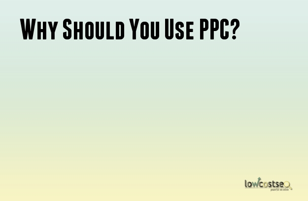 Why Should You Use PPC?