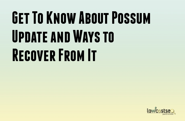 Get To Know About Possum Update and Ways to Recover From It