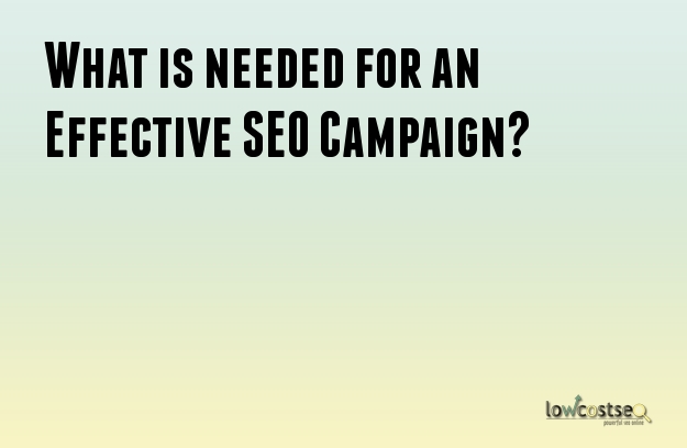 What is needed for an Effective SEO Campaign?