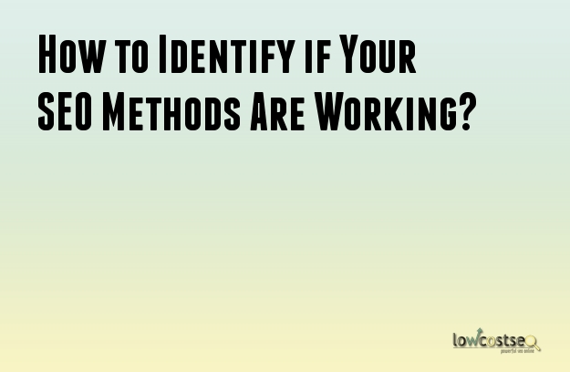How to Identify if Your SEO Methods Are Working?