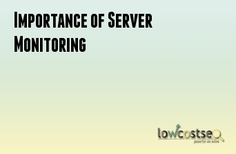 Importance of Server Monitoring