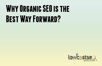 Why Organic SEO is the Best Way Forward?