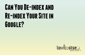 Can You De-index and Re-index Your Site in Google?