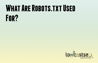 What Are Robots.txt Used For?