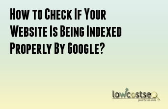 How to Check If Your Website Is Being Indexed Properly By Google?