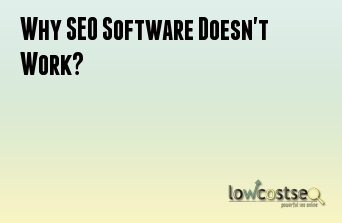 Why SEO Software Doesn't Work?