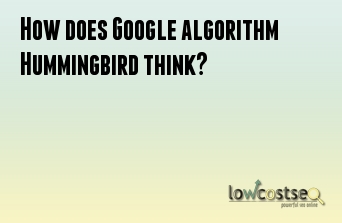 How does Google algorithm Hummingbird think?