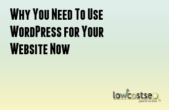 Why You Need To Use WordPress for Your Website Now