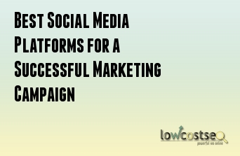 Best Social Media Platforms for a Successful Marketing Campaign