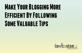 Make Your Blogging More Efficient By Following Some Valuable Tips