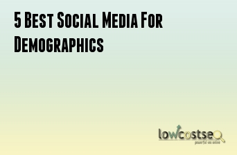 5 Best Social Media For Demographics