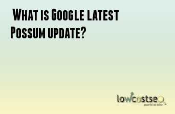  What is Google latest Possum update?