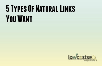 5 Types Of Natural Links You Want