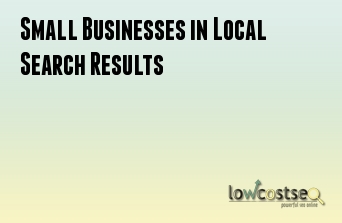 Small Businesses in Local Search Results