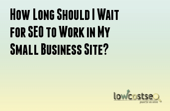 How Long Should I Wait for SEO to Work in My Small Business Site?