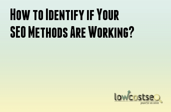 How to Identify if Your SEO Methods Are Working?