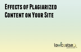 Effects of Plagiarized Content on Your Site